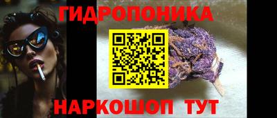 МДПВ Долгопрудный