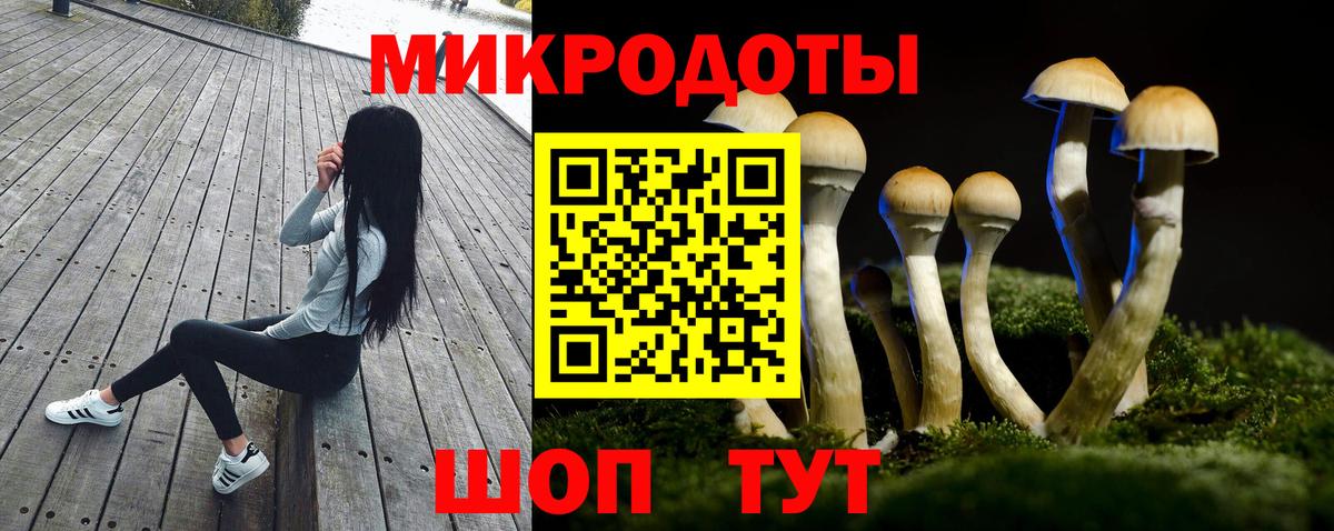 Псилоцибиновые грибы мицелий Нефтеюганск