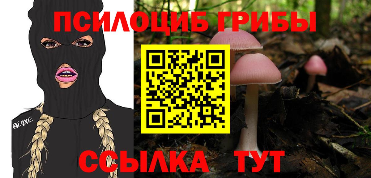 Галлюциногенные грибы Psilocybe  Вход с VPN  Нефтеюганск  Псилоцибиновые грибы прущие грибы 